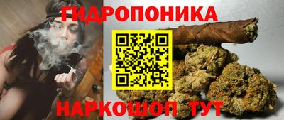 МДПВ Краснодар